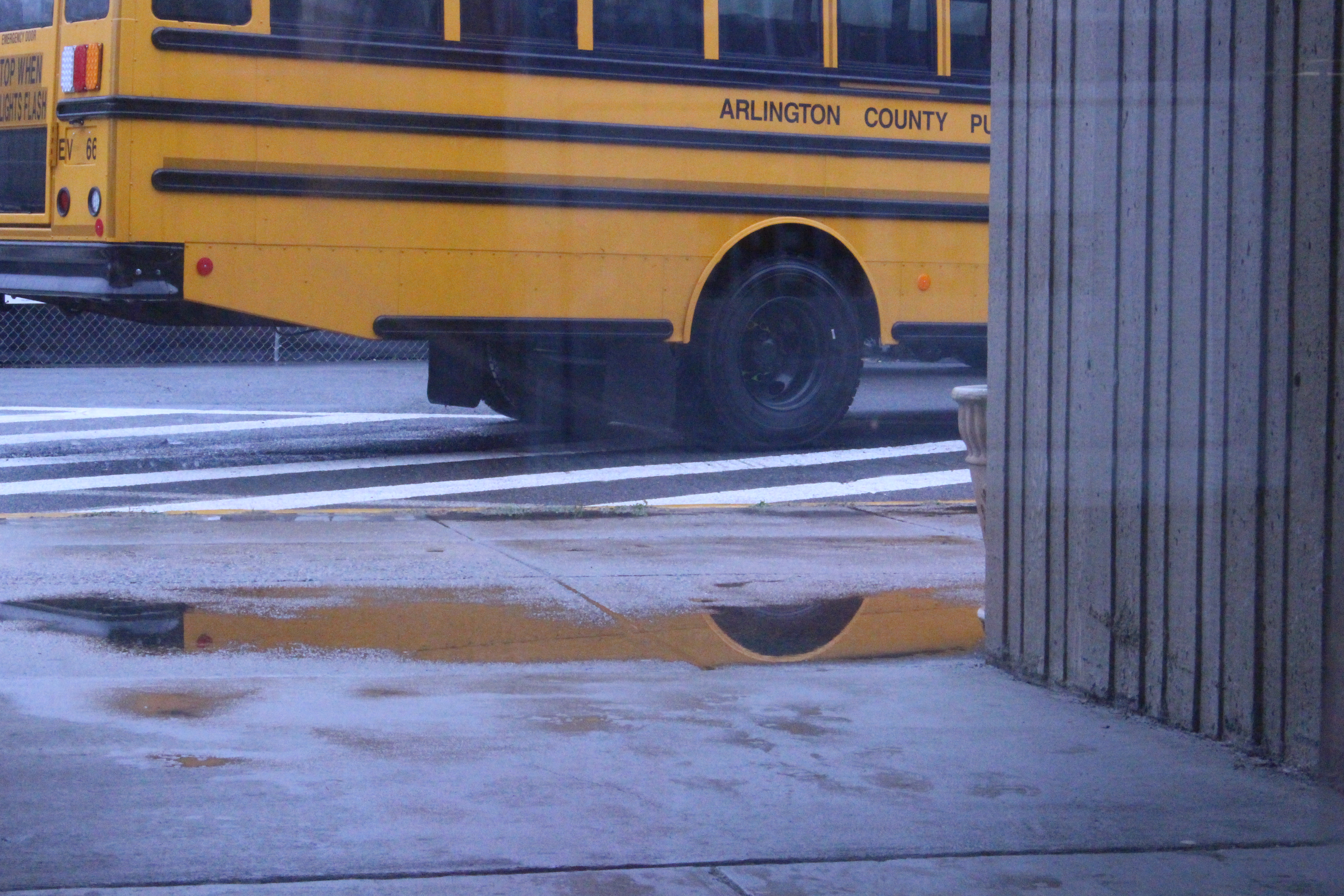 Bus